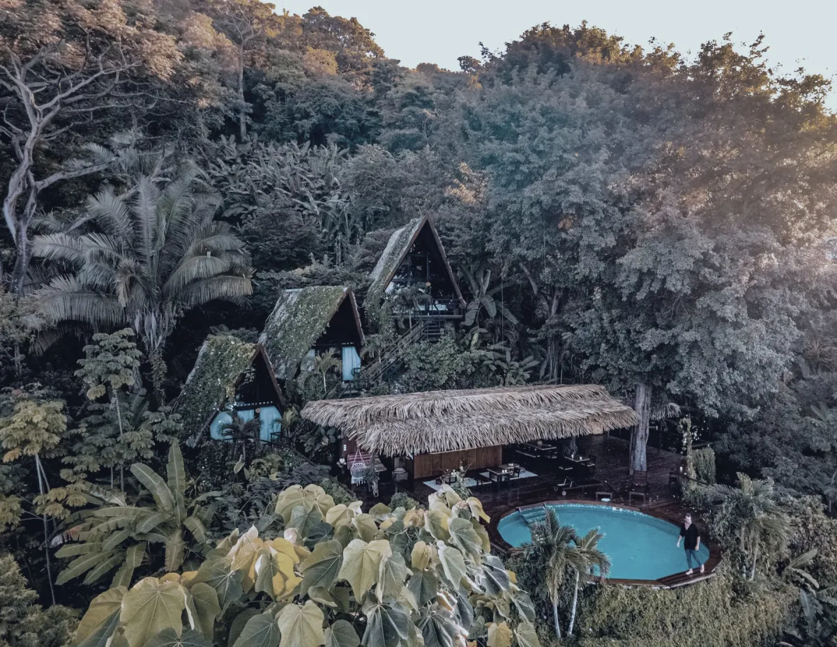 A lodge in the rainforest, with a pool and pitched-roof cabins.